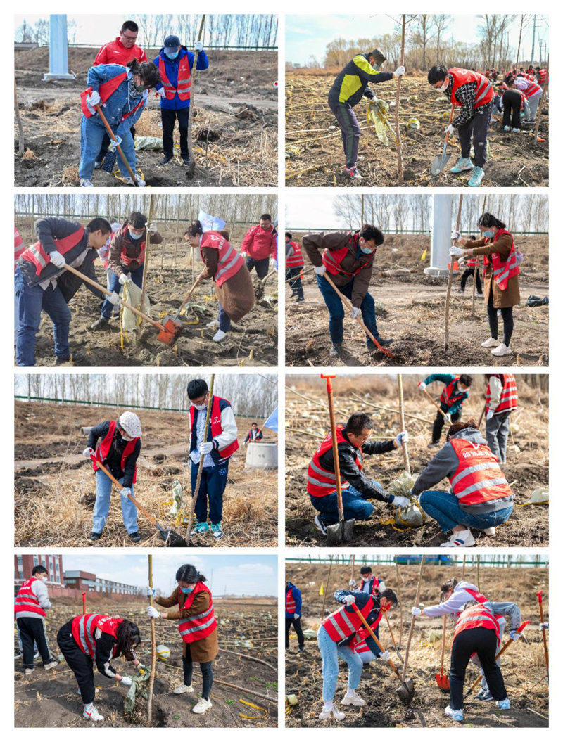 图片2.jpg 图片2.jpg