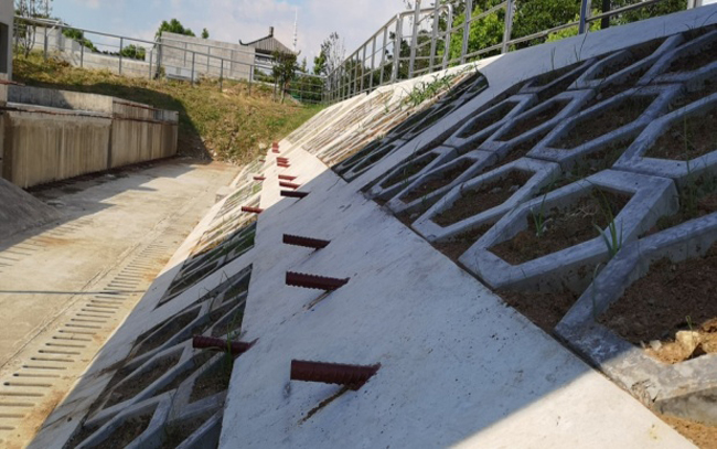 图片29.jpg 图片29.jpg